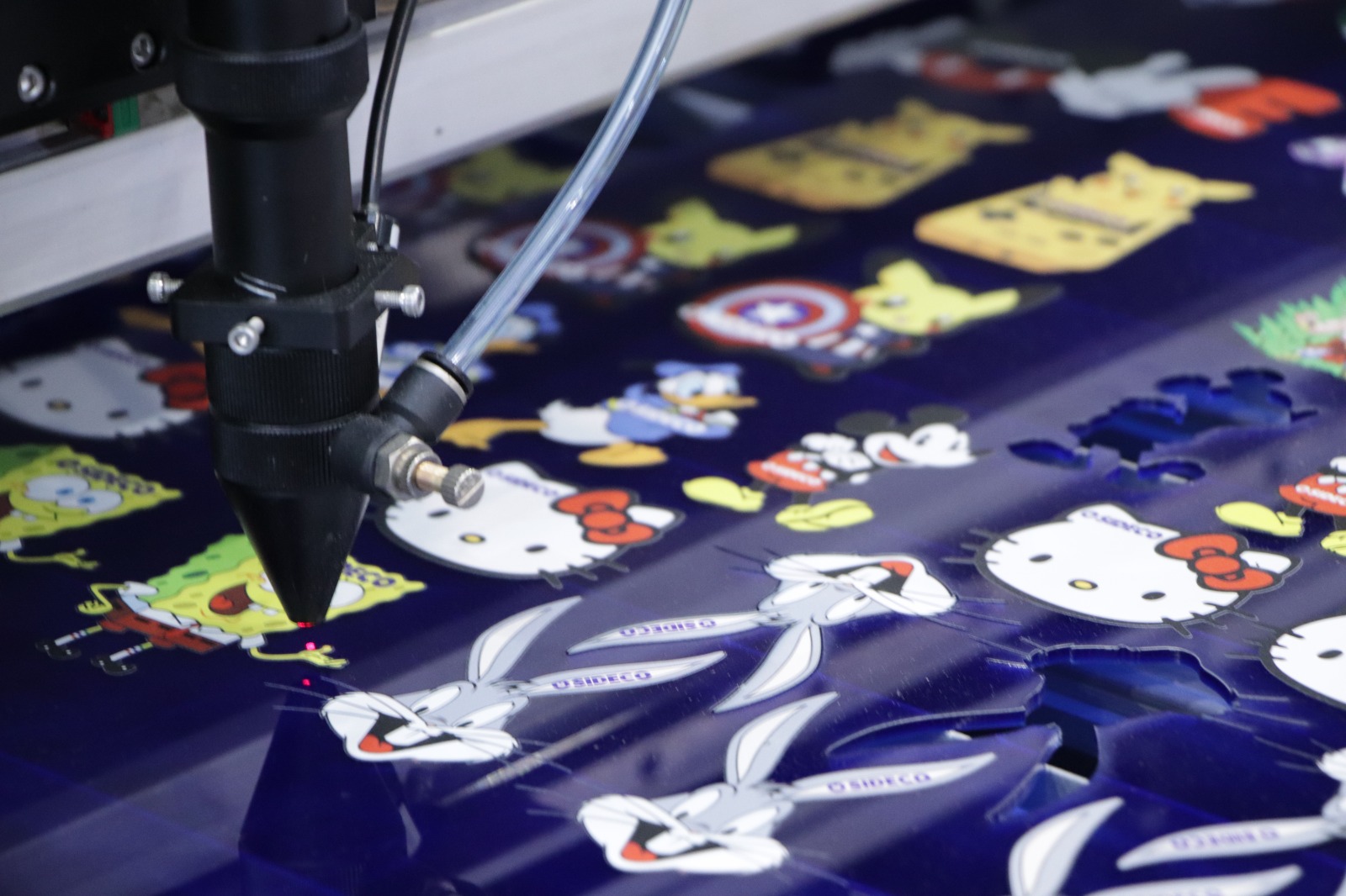 FESPA Cámara de registro